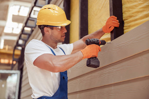 Best Siding Replacement  in Elverta, CA